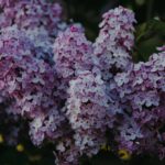 Unihouse Modulbauweise: Schneller bauen, sicher investieren, nachhaltig realisieren