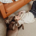 Wie kann man die Wandfarbe auf Möbel und Bodenbelag abstimmen?